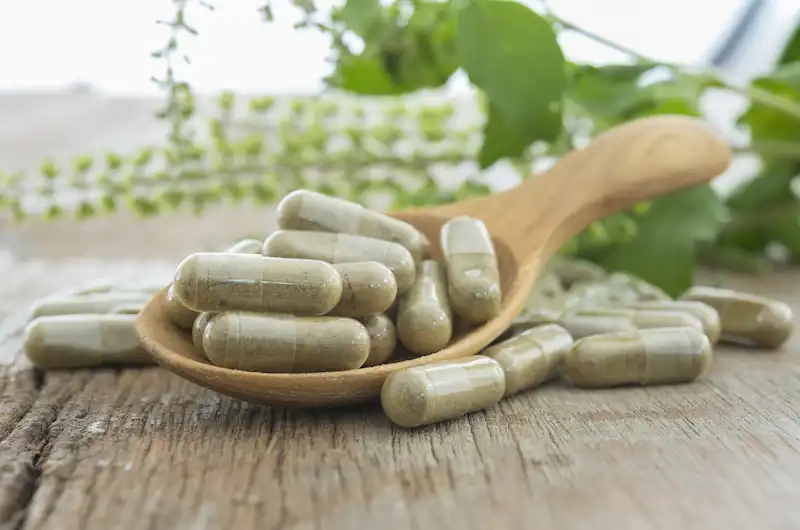 Tribulus Terrestris Extract Powder.jpeg